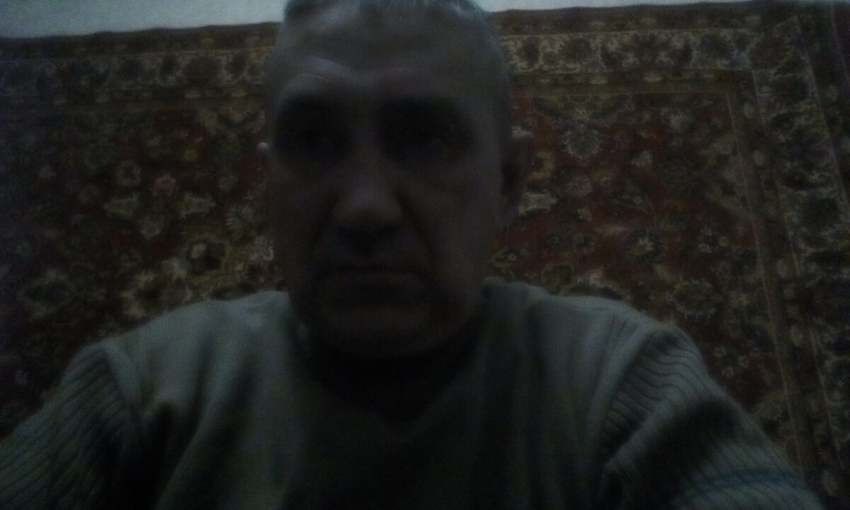  11365684  , 56 ,    