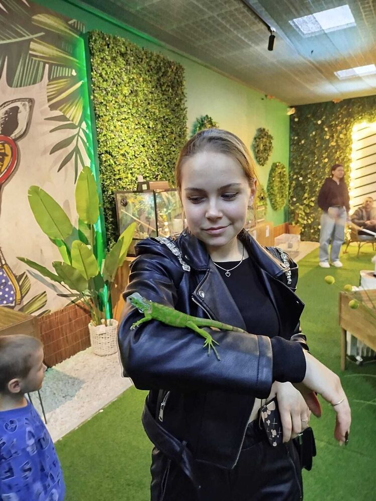 ���������� ���������, ���� ������� ����, 23 ����, ������������ ��� ������, ���������