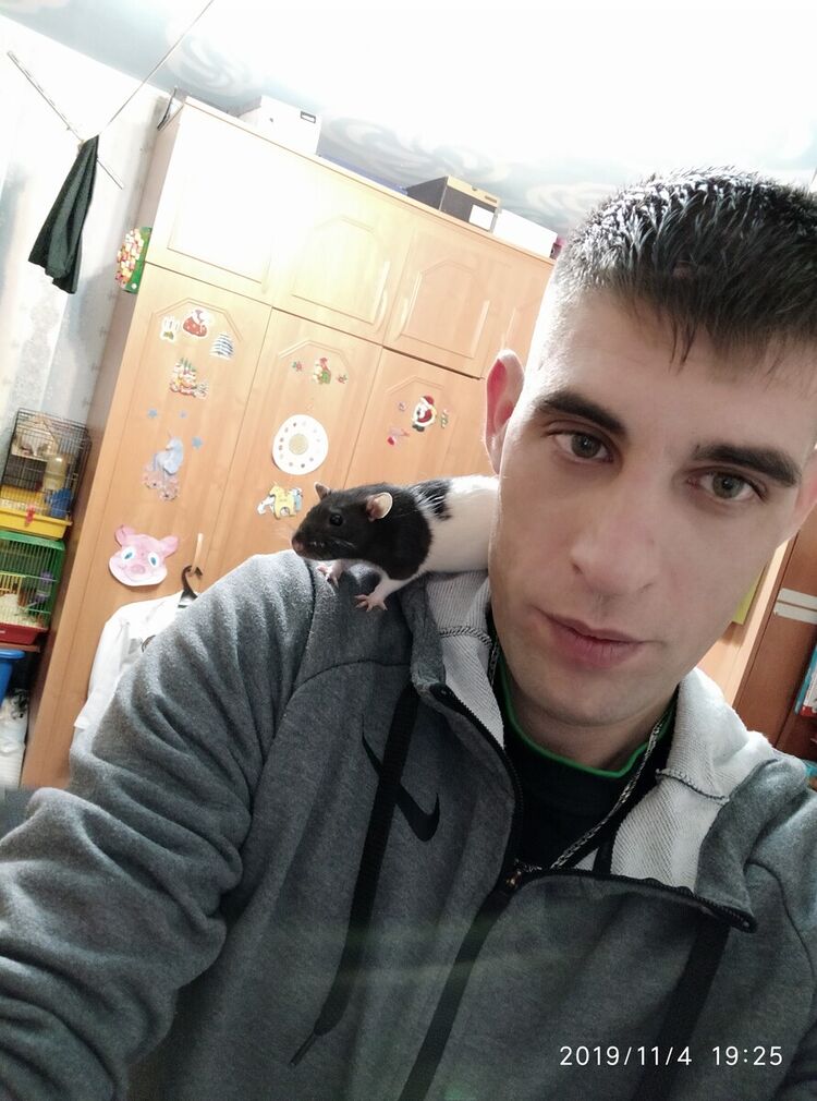 ���� 20223804 ������� ������, 35 ���, ���� ���������� � ������������