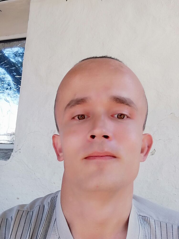  46056264  , 32 ,    
