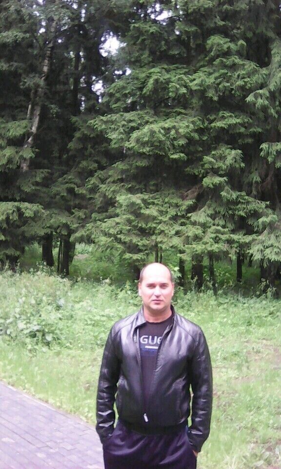  48908184  , 43 ,    