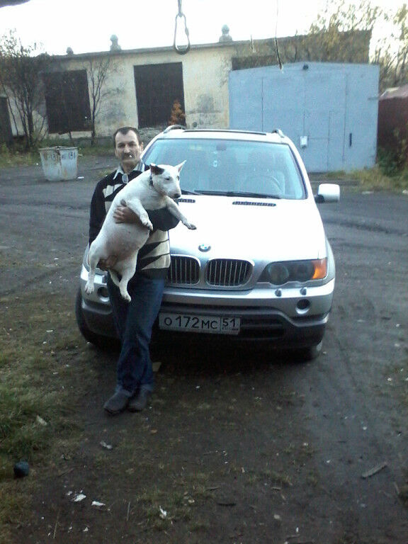 ���� 18535004 ������� ��������, 50 ���, ���� ���������� � �����-����������