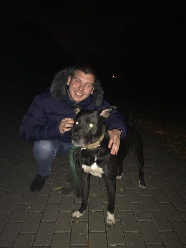 ���� 25371274 ����� �����, 25 ���, ���� ���������� � �������