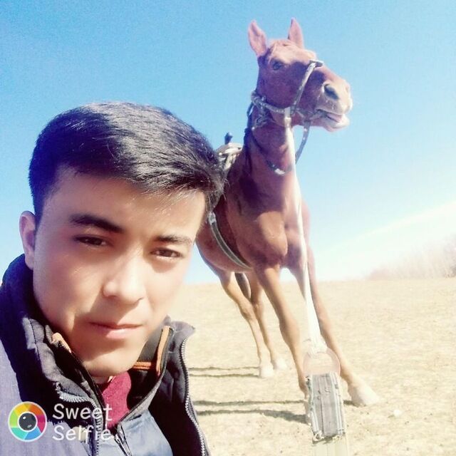 ���� 45987644 ������� Davronivich, 29 ���, ���� ���������� � ��������