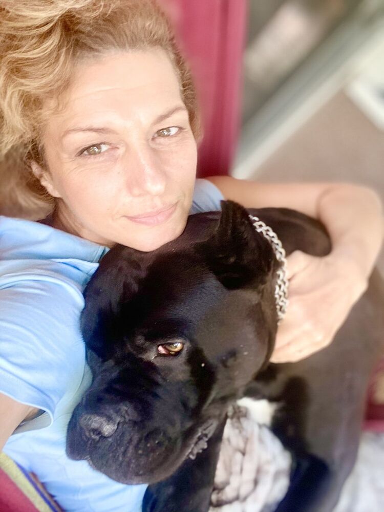 ���� 55805324 ������� ������, 50 ���, ���� ���������� � �����