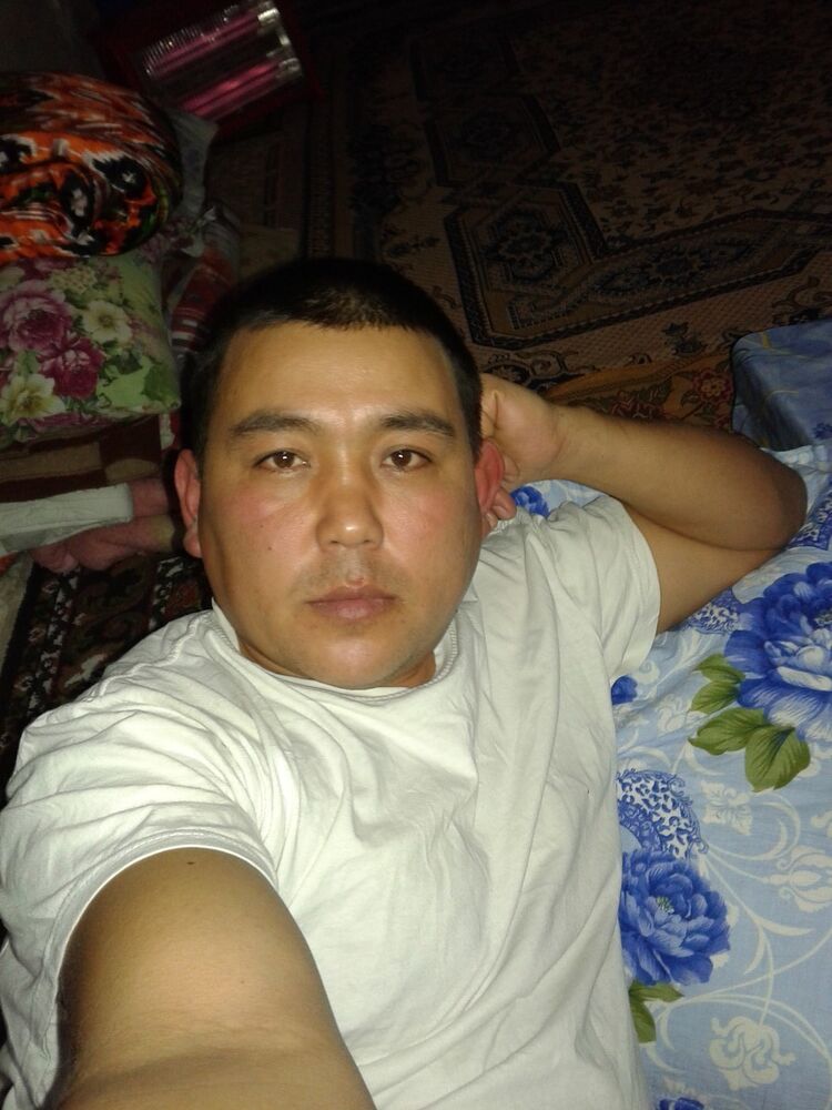  6397894  , 41 ,    