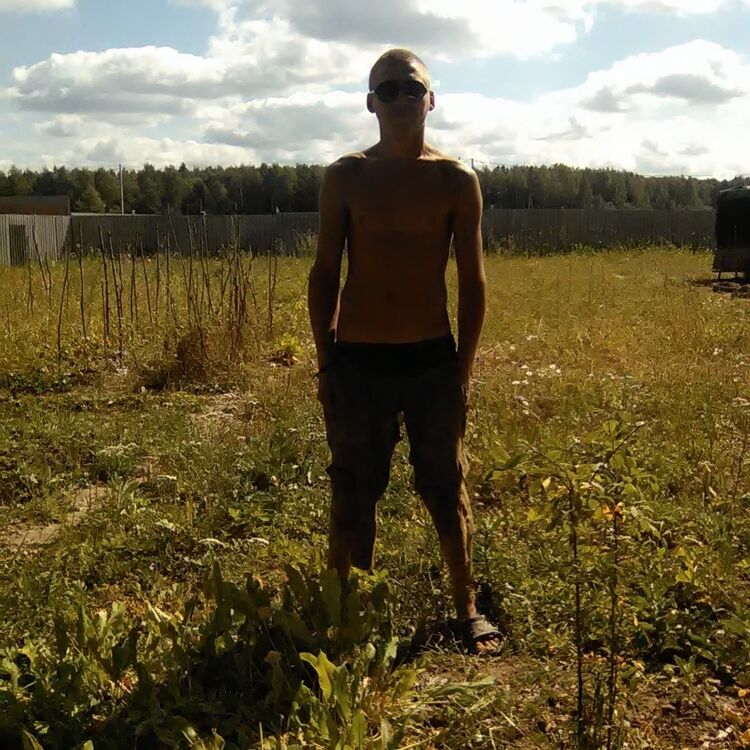 ���������� ����, ���� ������� ������, 38 ���, ������������ ��� ������, ����� � ���������, c�������� ���������