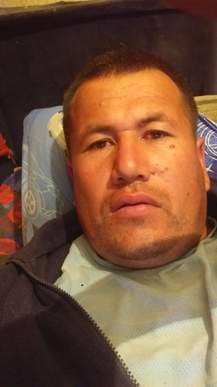  34624994  , 37 ,    