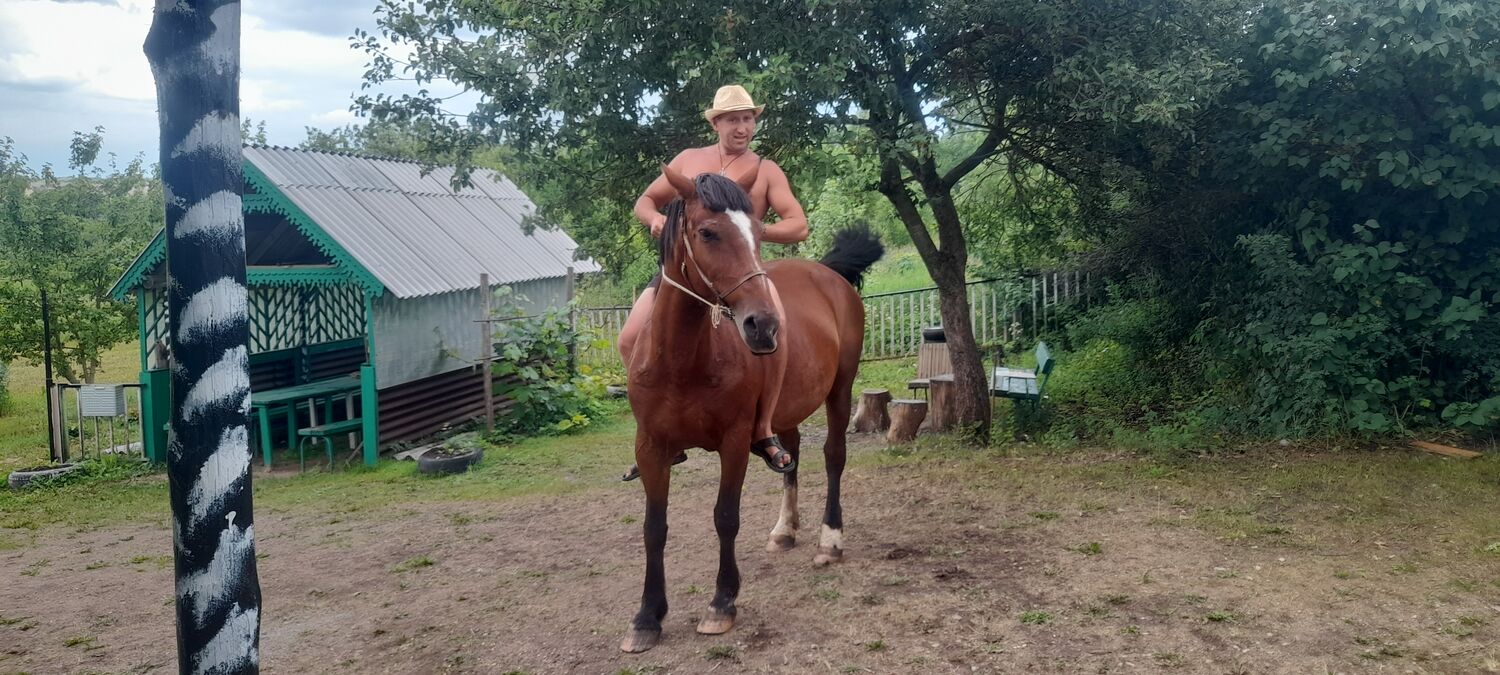 ���� 36162774 ������� ����, 40 ���, ���� ���������� � �����-����������