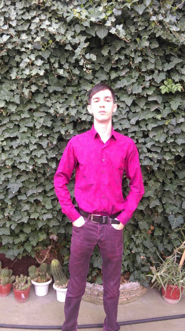 ���� 55811264 ������� �����, 28 ���, ���� ���������� � ���������