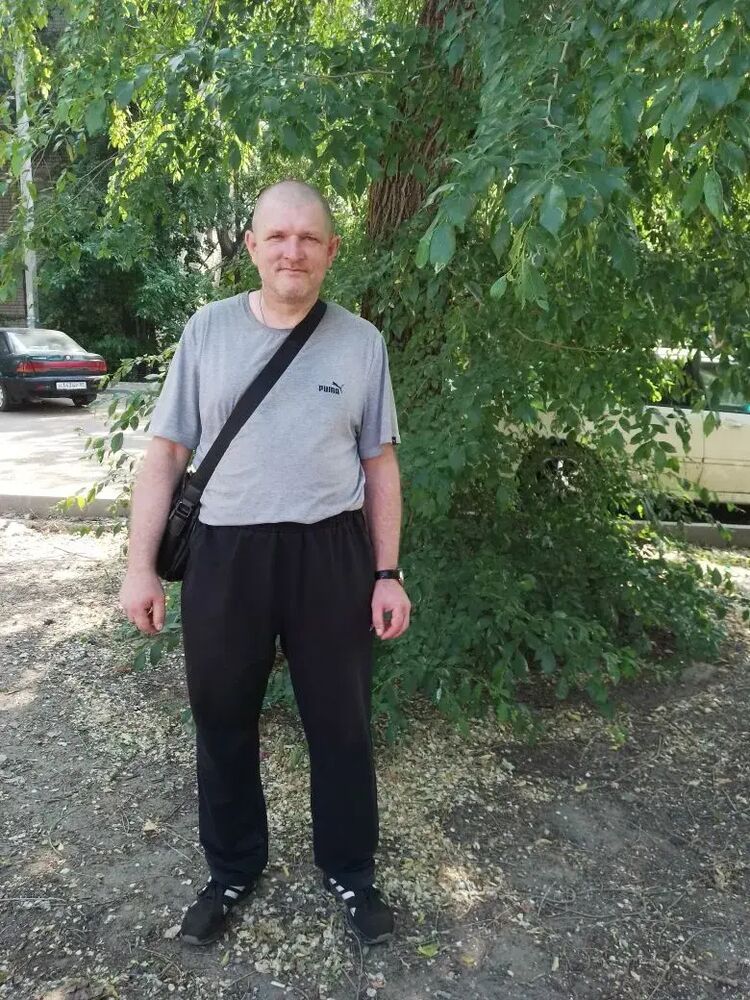 ���� 51977184 ������� ��������, 44 ����, ���� ���������� � ��������