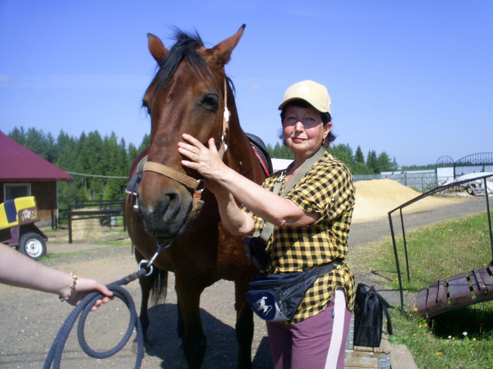 ���� 56223374 ������� �����, 70 ���, ���� ���������� � �������