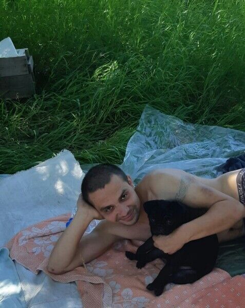  17724394  , 39 ,    --