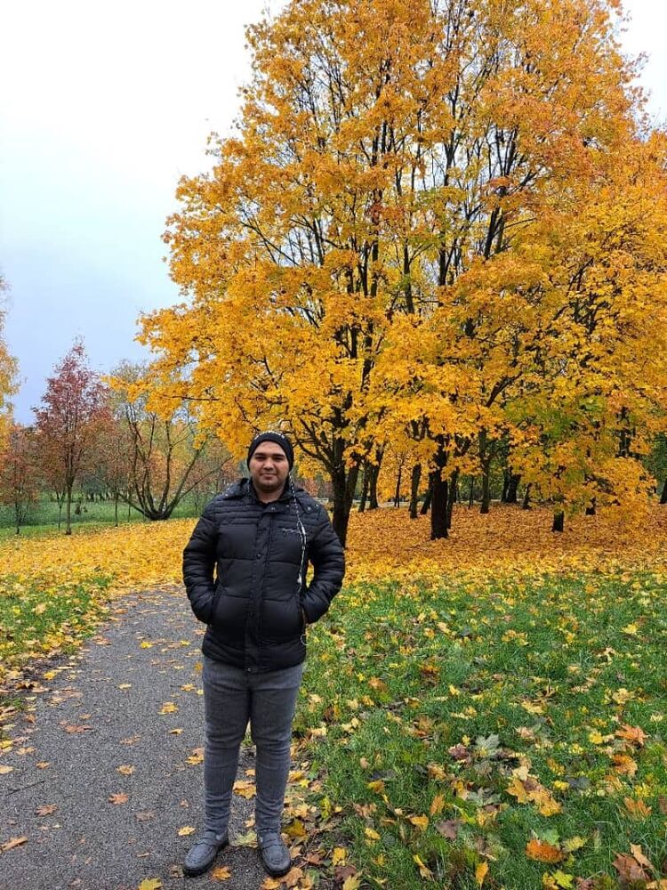 ���������� �����, ���� ������� Hamid, 36 ���, ������������ ��� ������, ����� � ���������