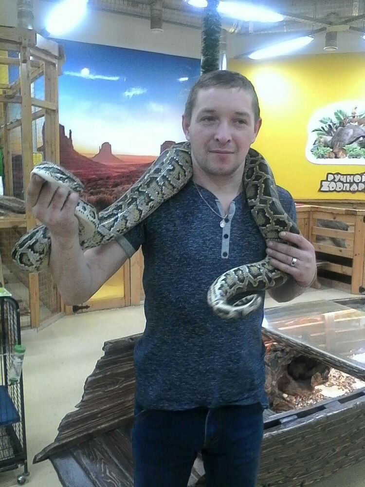 ���������� ���������, ���� ������� �����, 43 ����, ������������ ��� ������, ����� � ���������