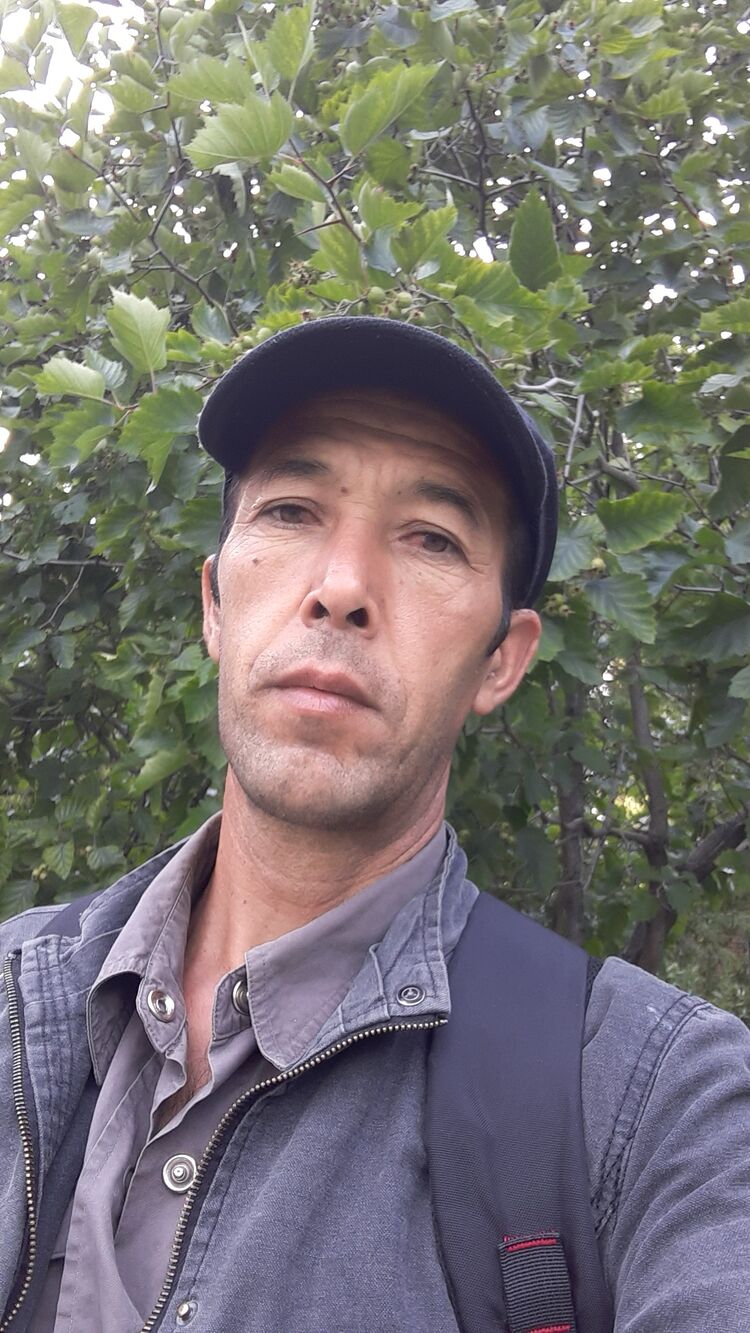  ,   , 48 ,  