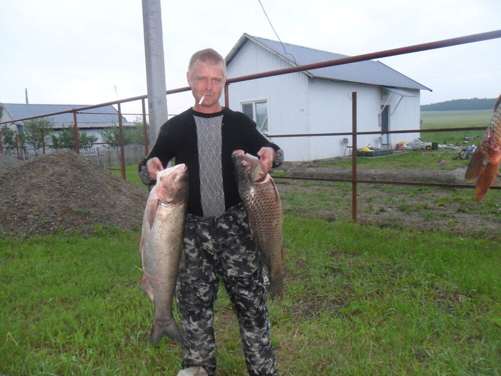 ���������� ������������, ���� ������� ����, 44 ����, ������������ ��� ������