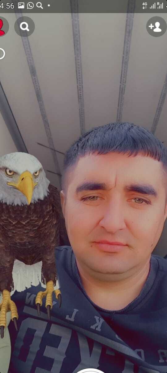 ���� 33069114 ������� ������, 35 ���, ���� ���������� � ������