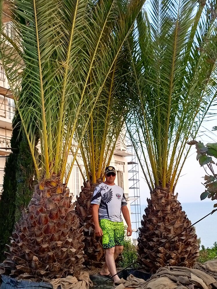 ���� 52122224 ������� ��������, 36 ���, ���� ���������� � ����������