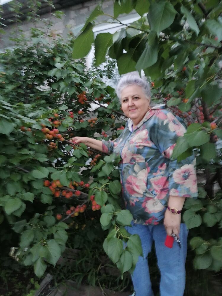 ���������� ����������, ���� ������� ��������, 59 ���, ������������ ��� ����� � ���������, ���������