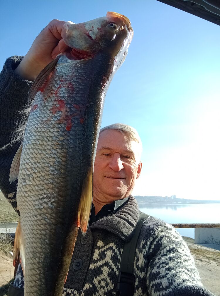  ,   , 66 ,   c 