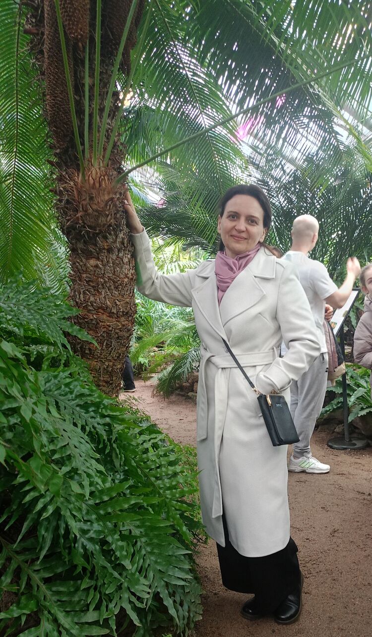 ���� 56238004 ������� �������, 51 ���, ���� ���������� � ������������