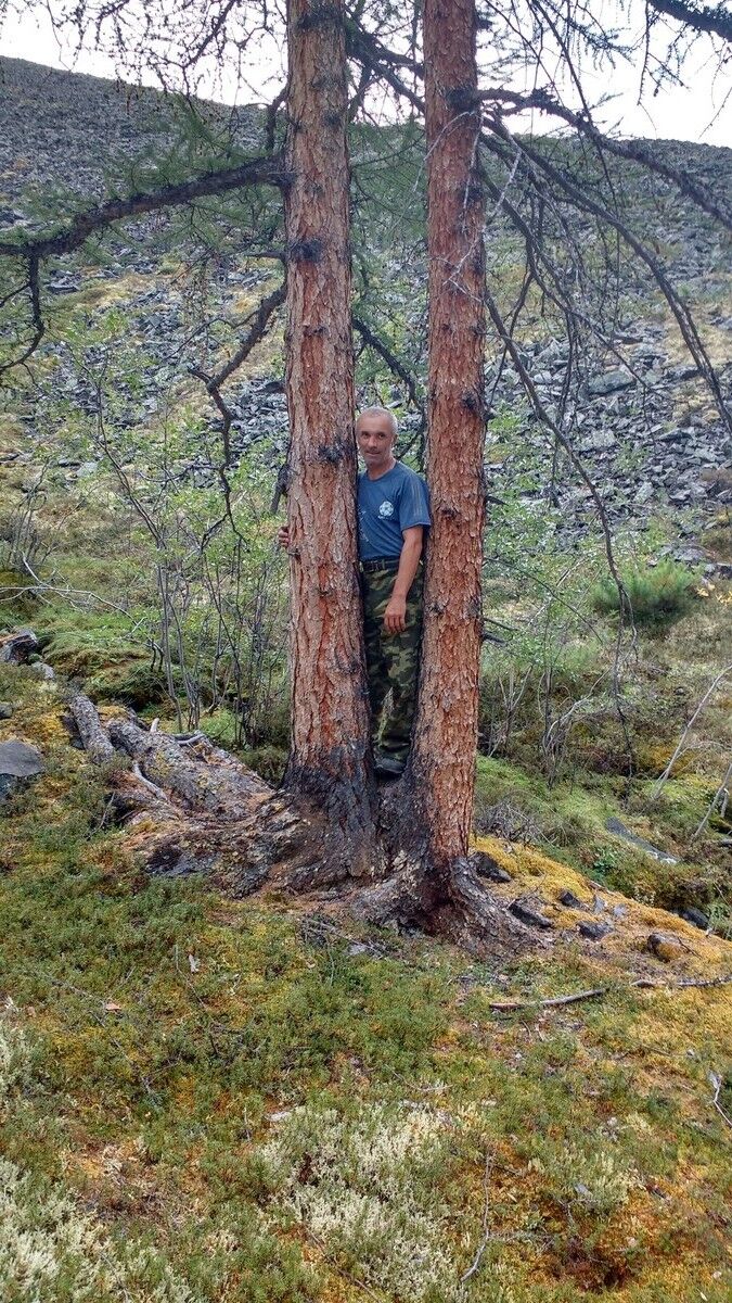  ,   , 59 ,   