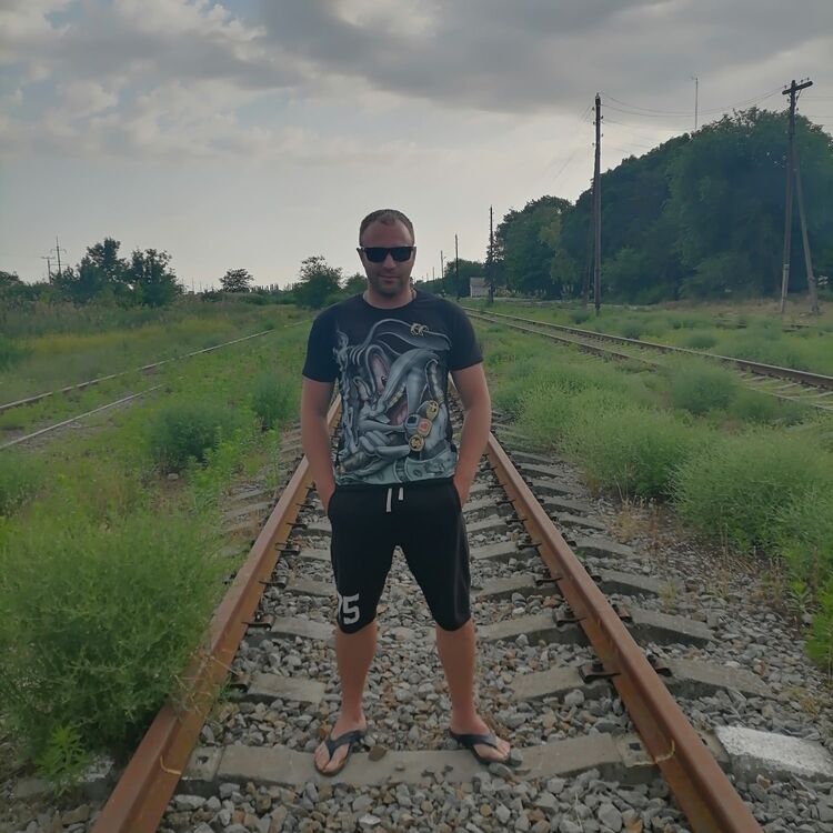  28115444  , 40 ,    