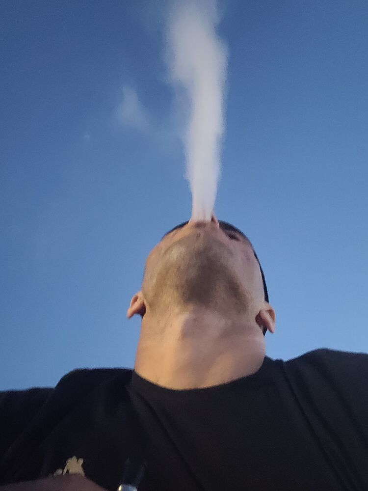  29634534  , 32 ,    