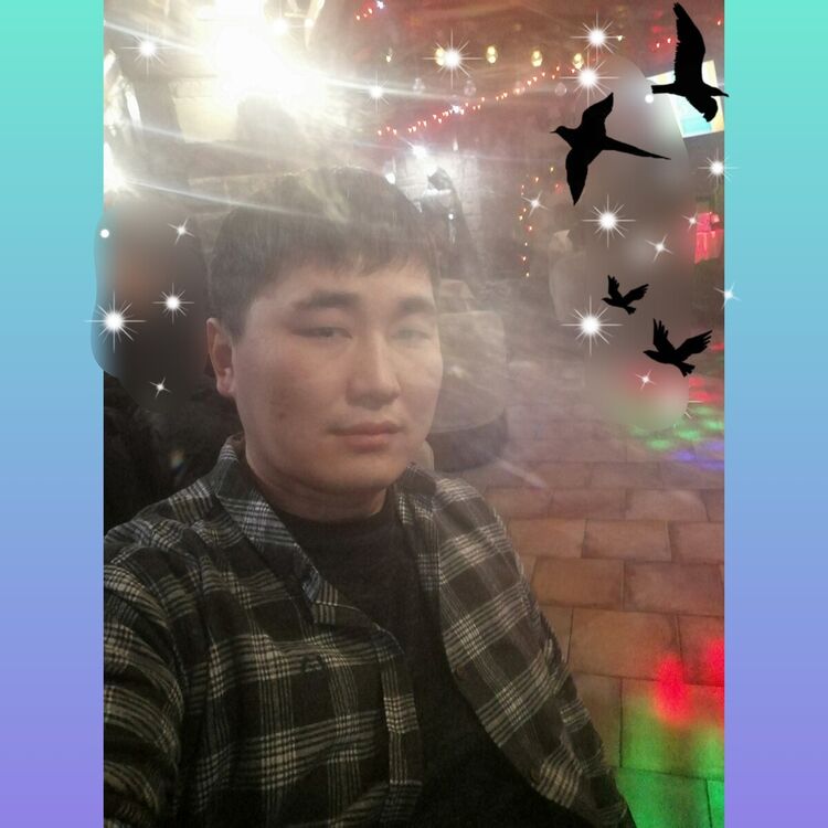  22204404  , 34 ,    