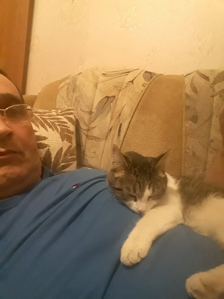  ,   , 56 ,  