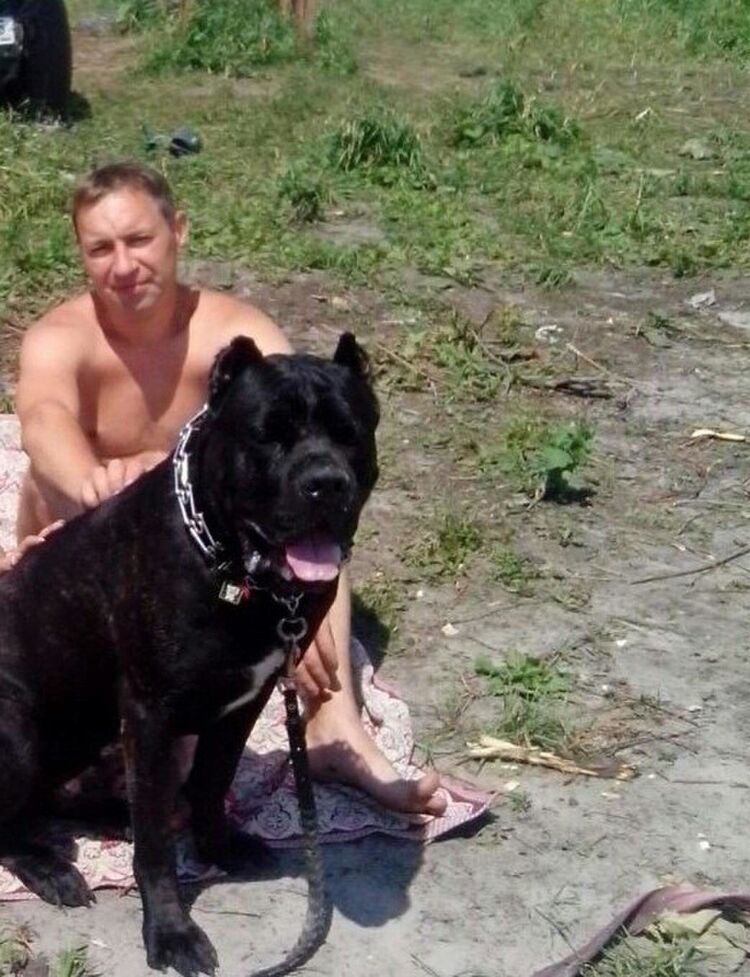 ���� 28441294 ������� �������, 47 ���, ���� ���������� � �����