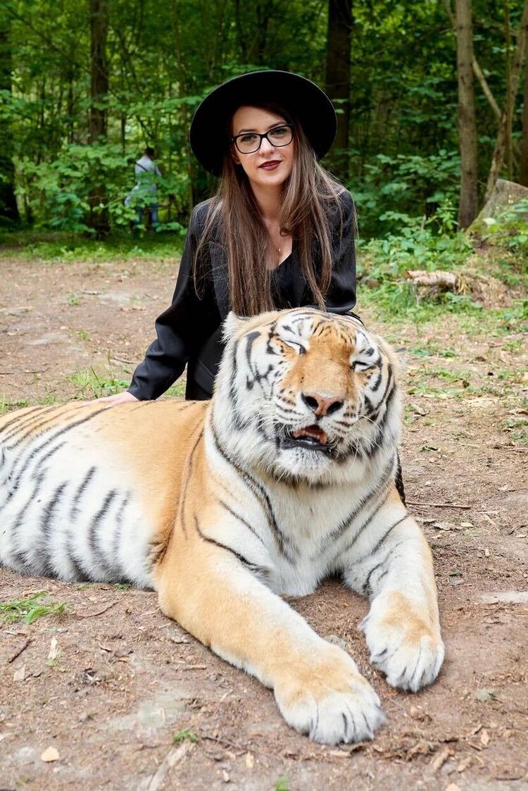 ���� 31300284 ������� ���, 32 ����, ���� ���������� � ������ ���������