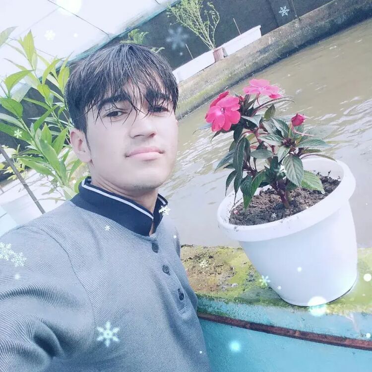 ���� 33174164 ����� Jamshidbek, 25 ���, ���� ���������� � �����-����������