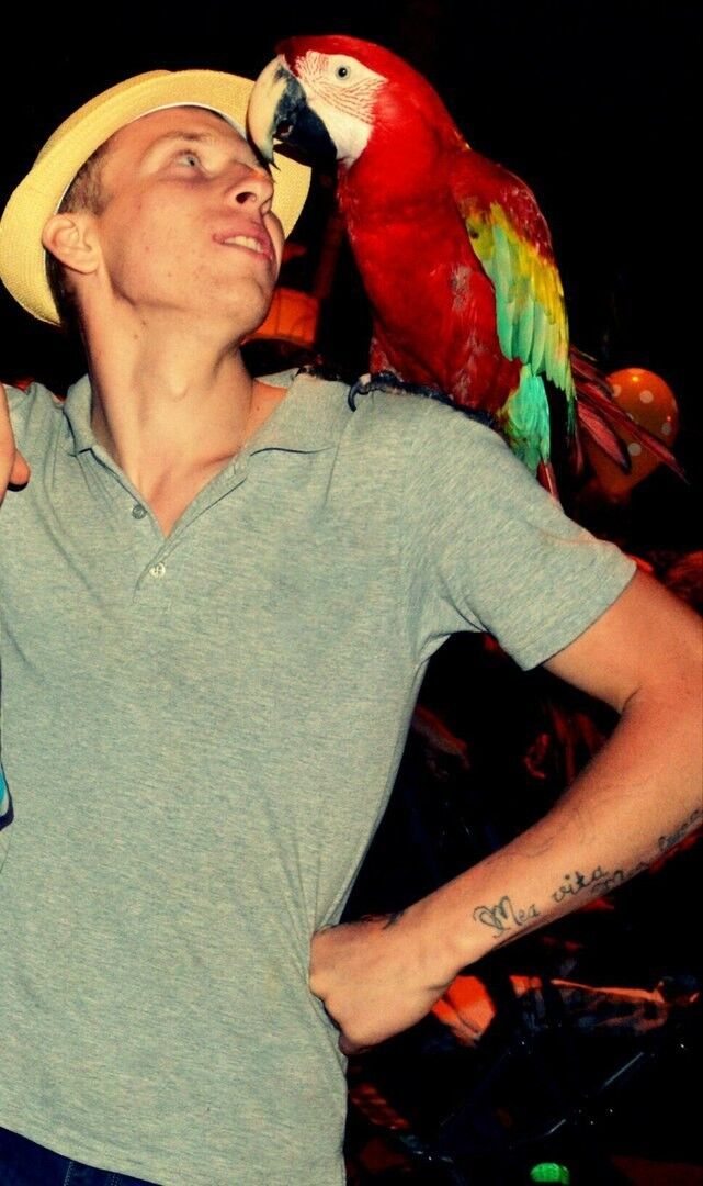 ���� 8420224 ������� Sanua, 30 ���, ���� ���������� � ����������