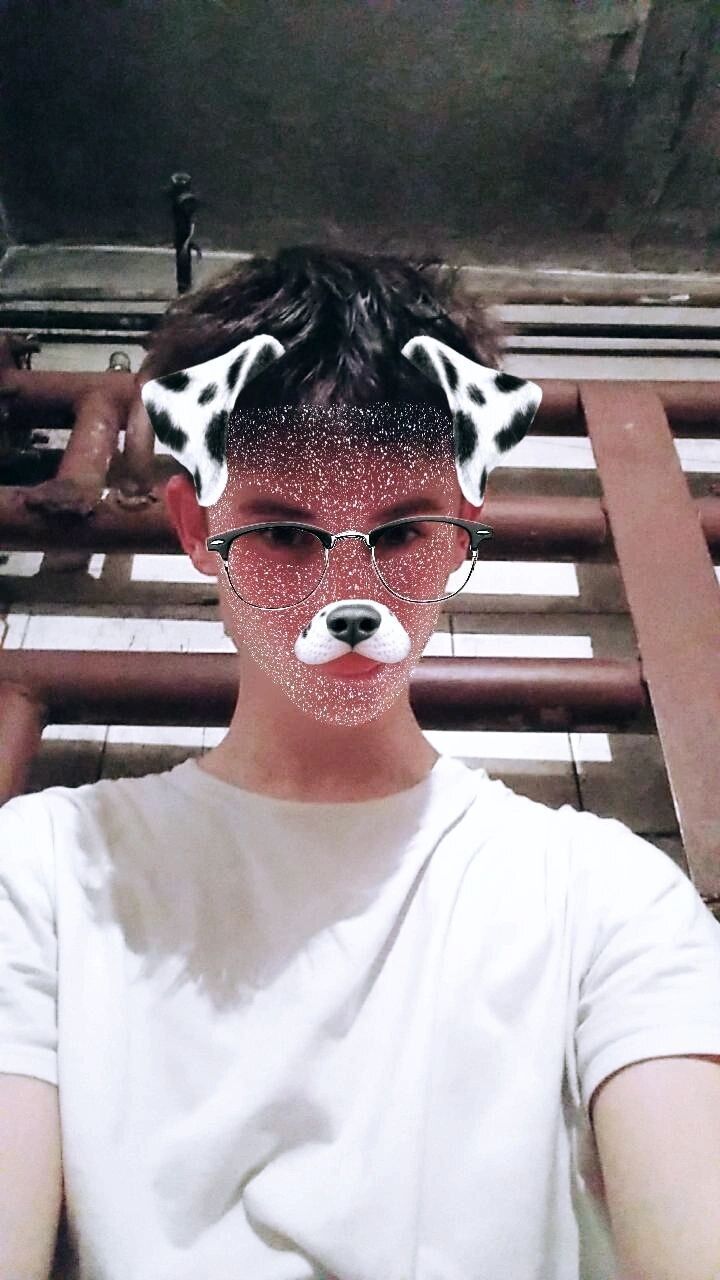  ,   , 21 ,  