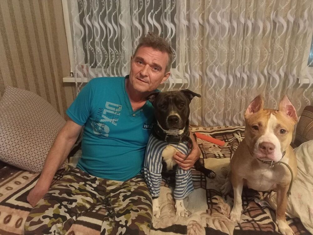 ���������� ���������, ���� ������� ���������, 47 ���, ������������ ��� ������, ����� � ���������