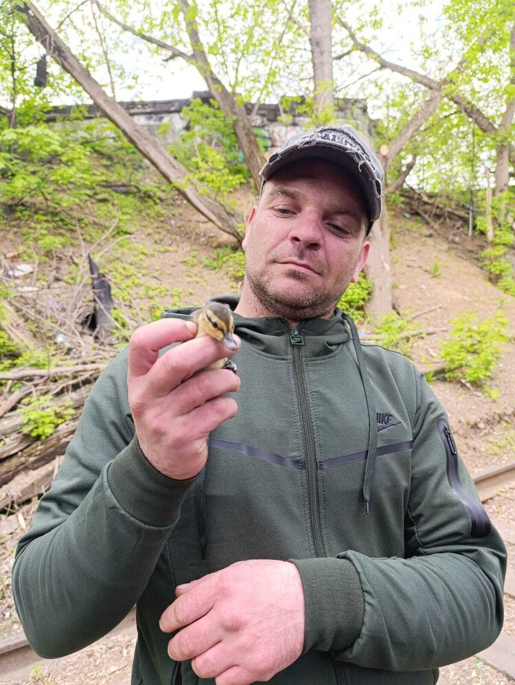 ���� 55894374 ������� ����, 39 ���, ���� ���������� � ������