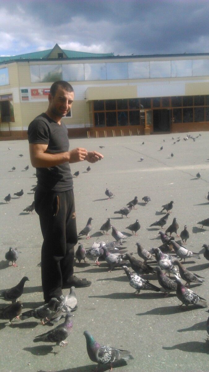  ,   Aranm, 34 ,   