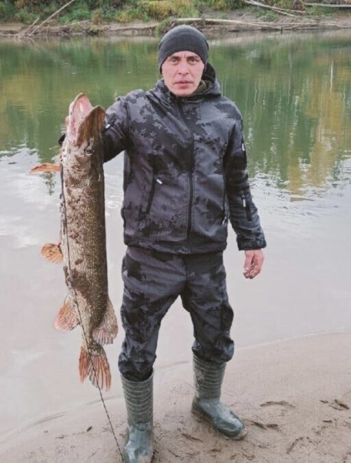 ���� 37966764 ������� ������, 44 ����, ���� ���������� � ������