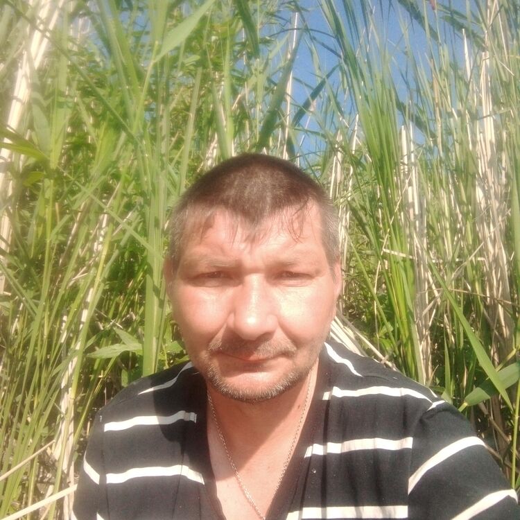 ���� 38784144 ������� ���������, 44 ����, ���� ���������� � �����