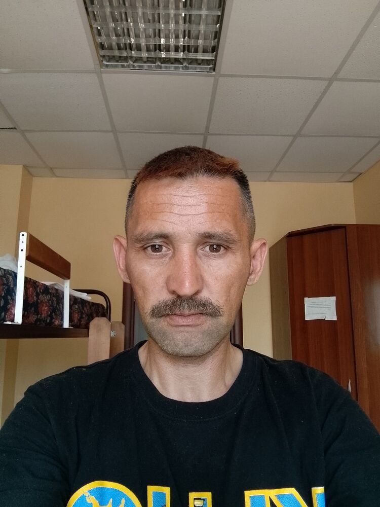  43685464  , 26 ,    