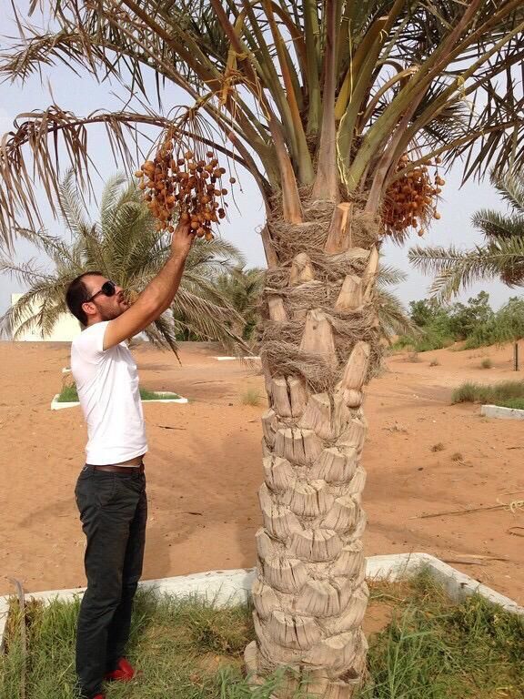 ���������� ������, ���� ������� ������, 37 ���, ������������ ��� ������, ����� � ���������