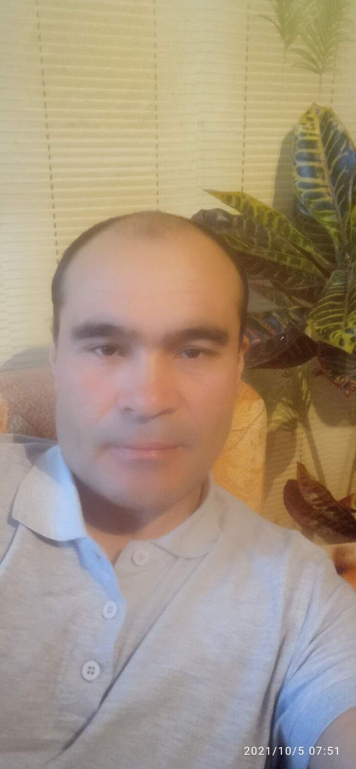  -,   , 53 ,   ,   
