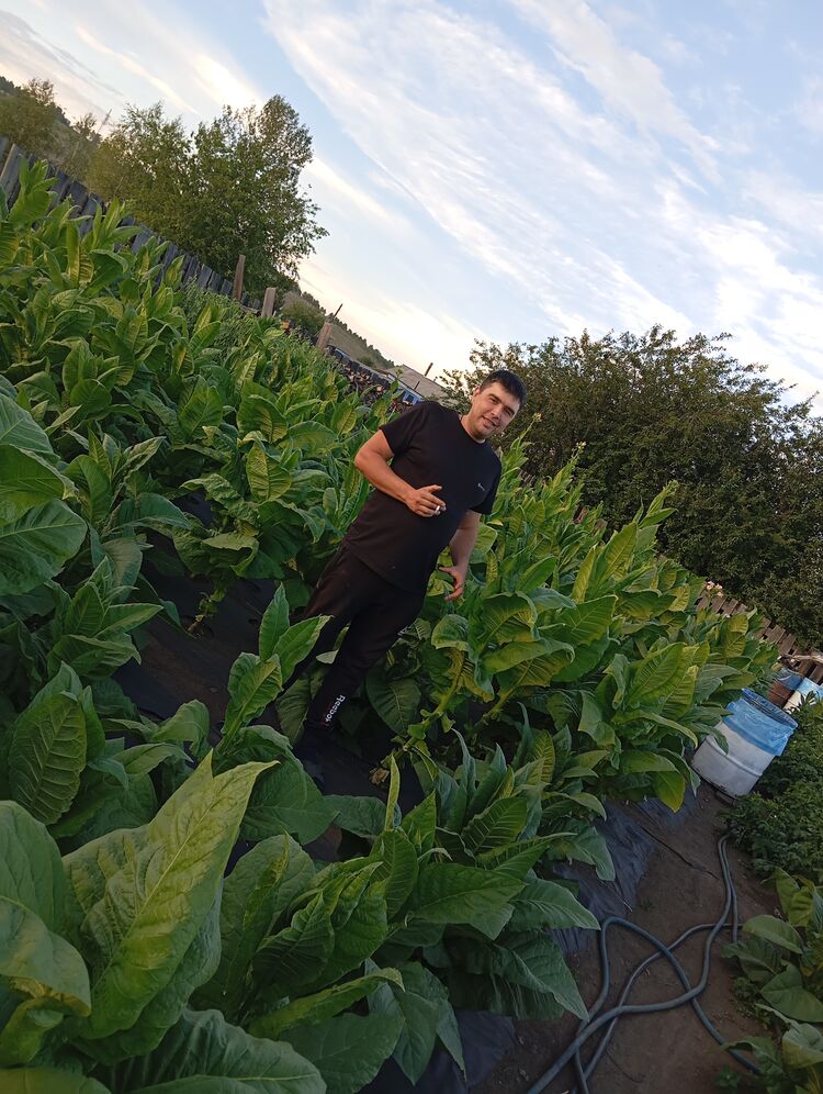 ���������� ����-���, ���� ������� ���������, 36 ���, ������������ ��� ������, ����� � ���������, c�������� ���������, ���������