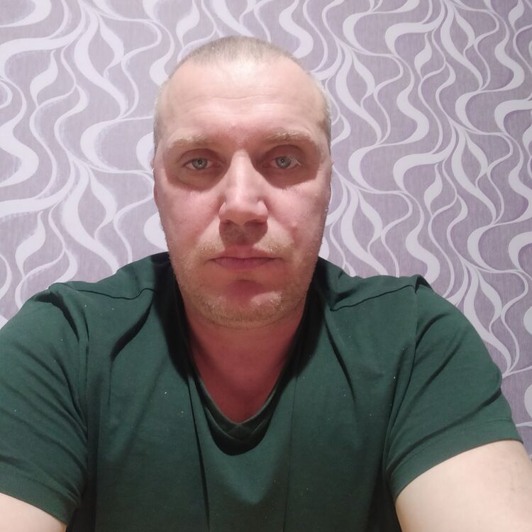  41601754  , 43 ,    