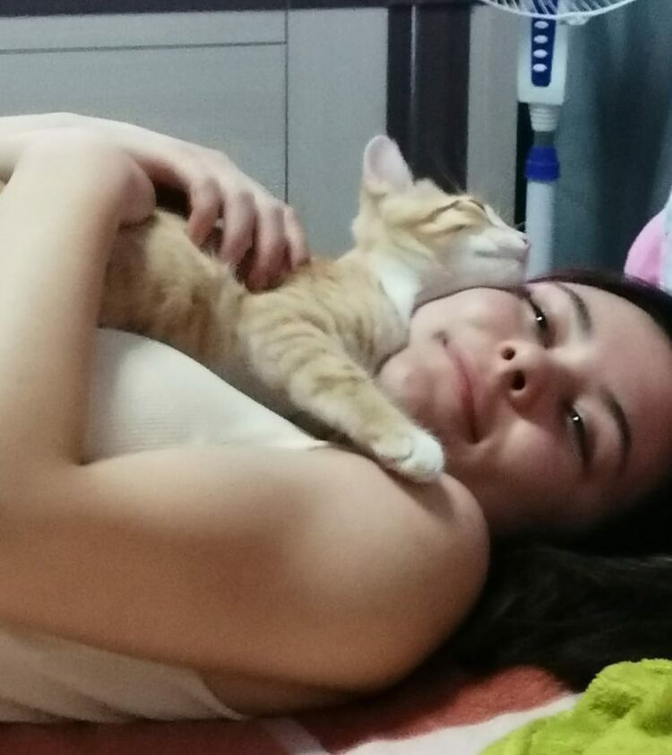 ���������� ������-��-����, ���� ������� ����, 23 ����, ������������ ��� c�������� ���������