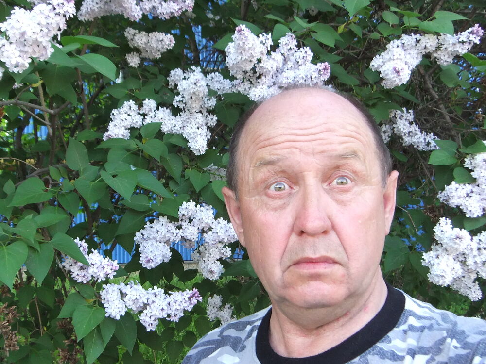 ���� 54927864 ������� ���������, 72 ����, ���� ���������� � ������