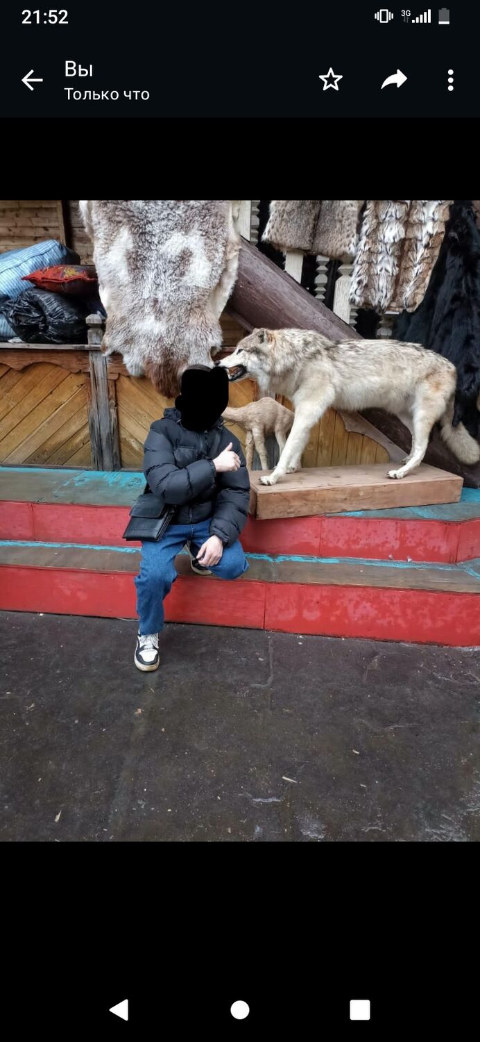 ���� 40235114 ����� � ��� ����, 20 ���, ���� ���������� � ������