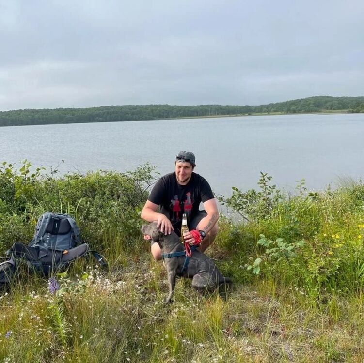  36008594  , 33 ,    -